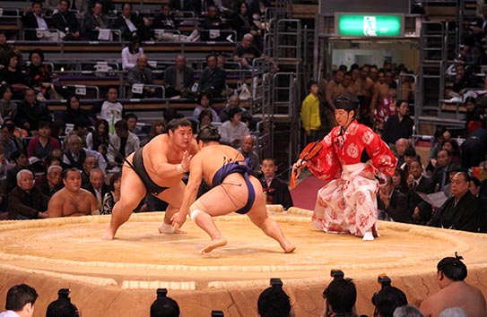 Sumo Wrestling